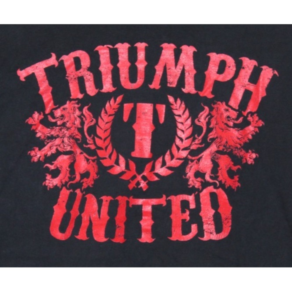 Triumph United MMA T-Shirt Mens Medium Black Red Graphic Crest Lions VTG Style